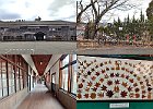 宇陀市菟田野「カエデの郷ひらら」にて Photo : まめじさん