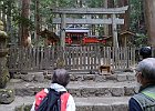 室生龍穴神社にて
