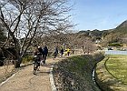 Photo : タックさん