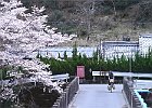 220402 p066
