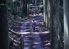 220612 p012