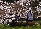 3月27日 「飛鳥ポタ」