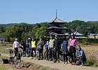 11月4日 ゆるゆるCC「ミニベロオフ法起寺コスモスライド」