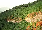 小南峠を下る　photo:skuram