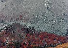 981122 p064