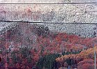 981122 p068