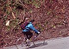 990322 p016