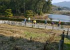 Photo : Tsukasa Kotani