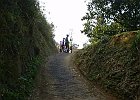 Photo : Tsukasa Kotani