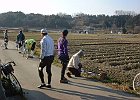 Photo : Tsukasa Kotani
