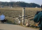 Dscf1075